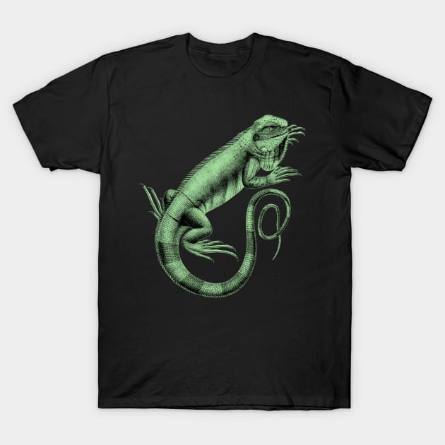 Dramabite Iguana Lizard Reptile Leguan Green Pet Animal Herpetologist T-Shirt by dramabite